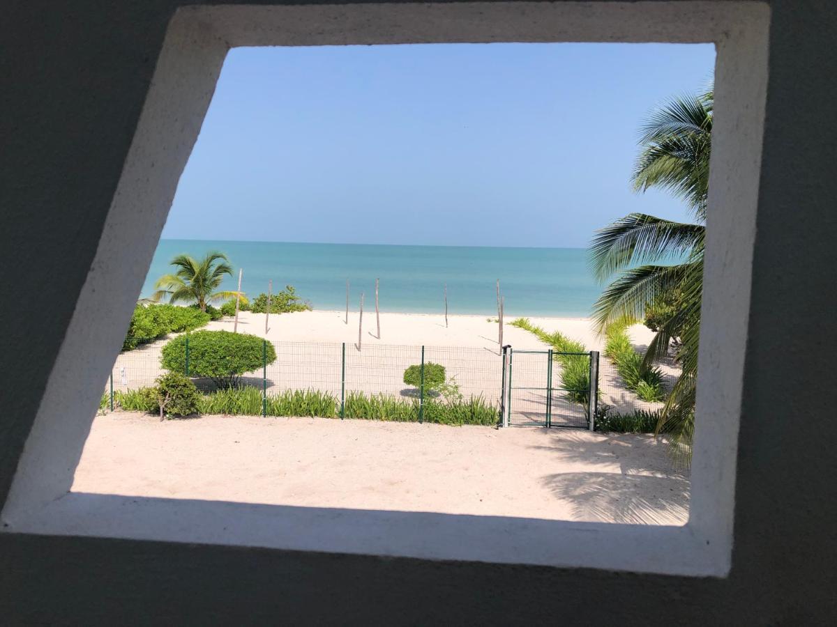 Playa 55 Beach Escape - Adults Only Guesthouse セレストゥン エクステリア 写真