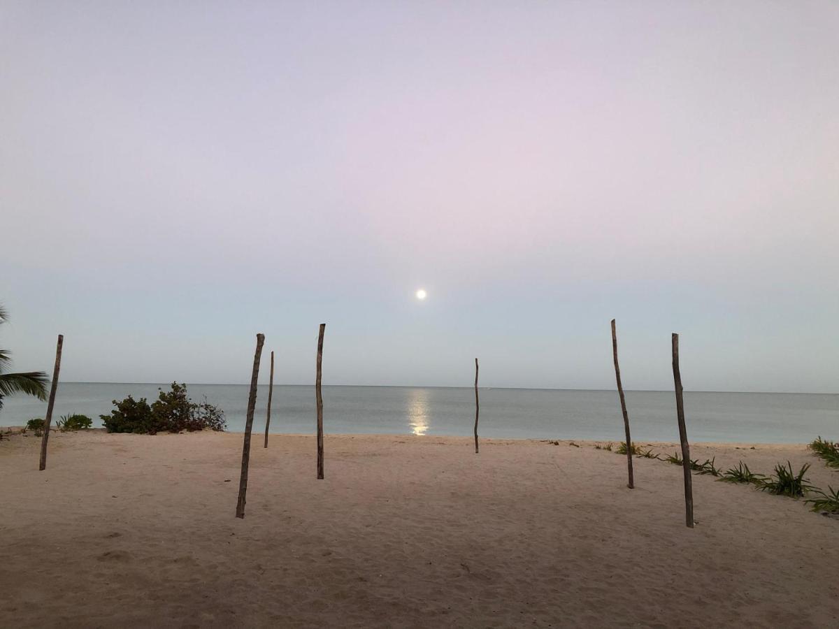 Playa 55 Beach Escape - Adults Only Guesthouse セレストゥン エクステリア 写真