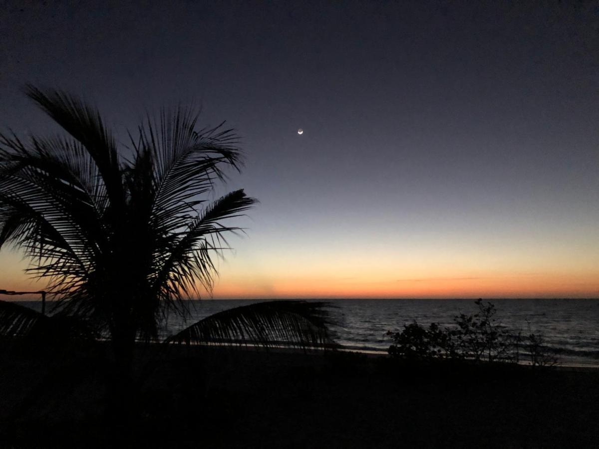 Playa 55 Beach Escape - Adults Only Guesthouse セレストゥン エクステリア 写真