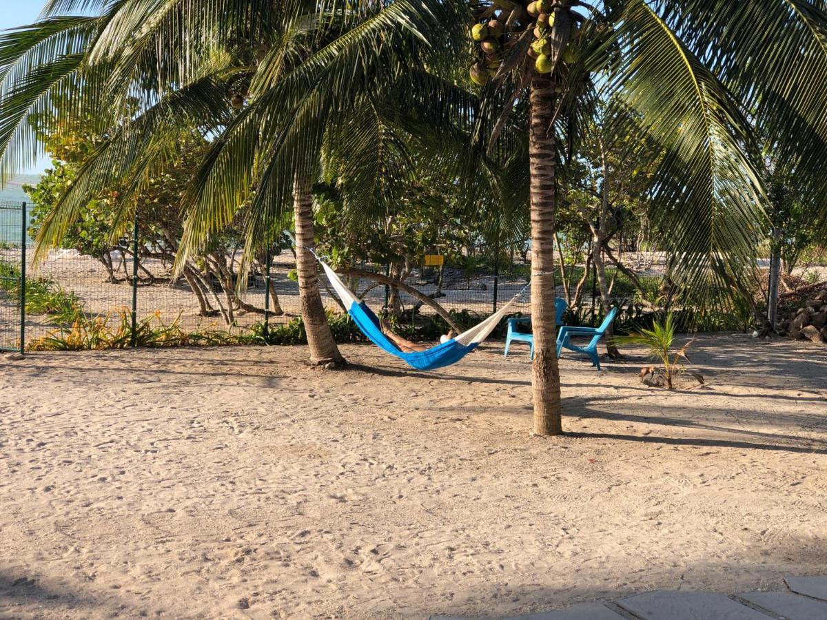 Playa 55 Beach Escape - Adults Only Guesthouse セレストゥン エクステリア 写真