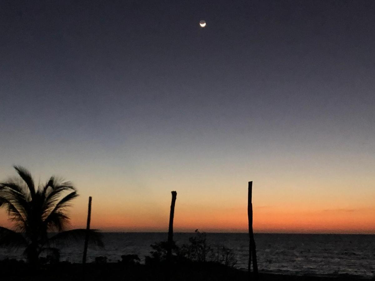 Playa 55 Beach Escape - Adults Only Guesthouse セレストゥン エクステリア 写真
