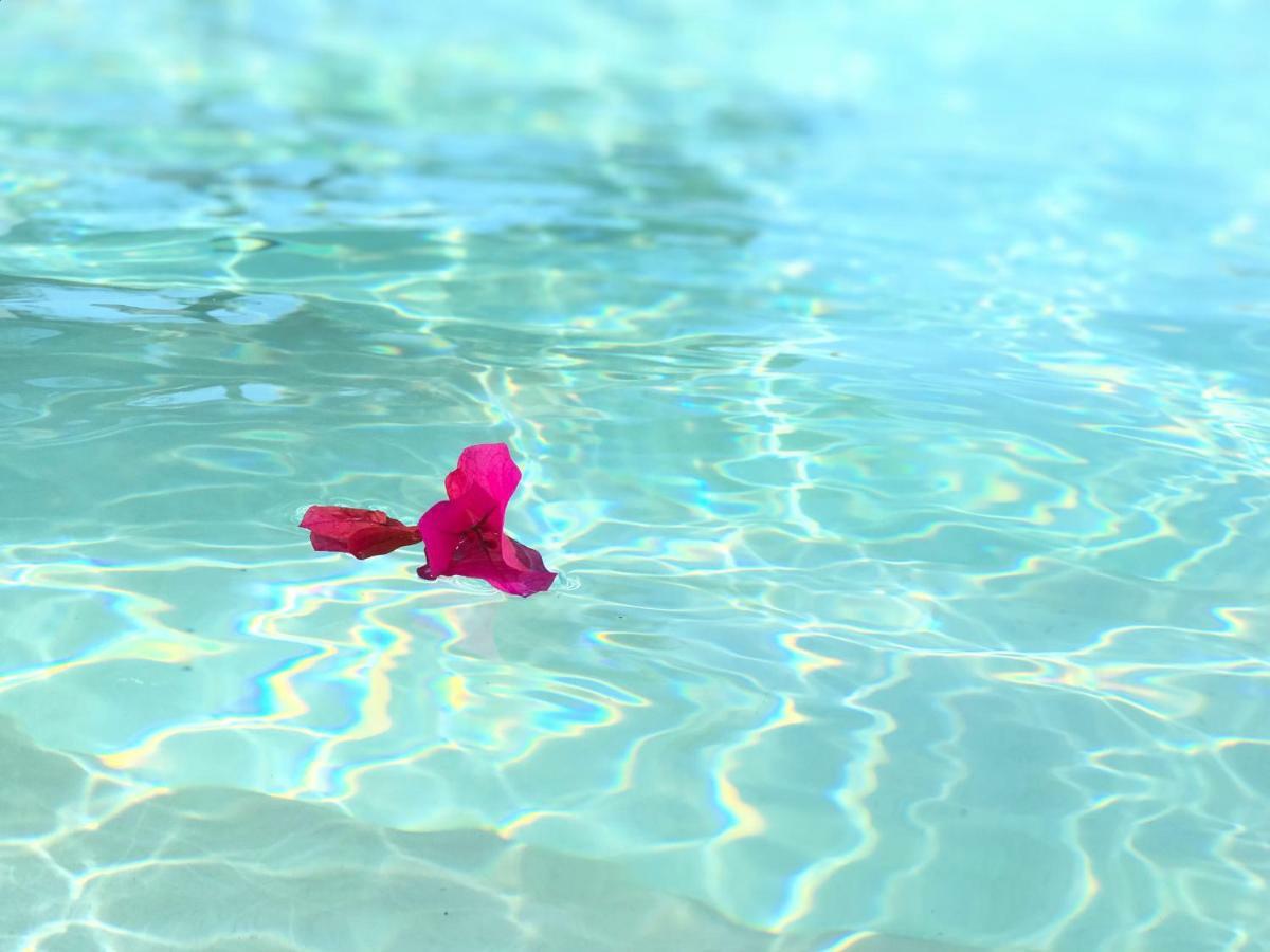 Playa 55 Beach Escape - Adults Only Guesthouse セレストゥン エクステリア 写真
